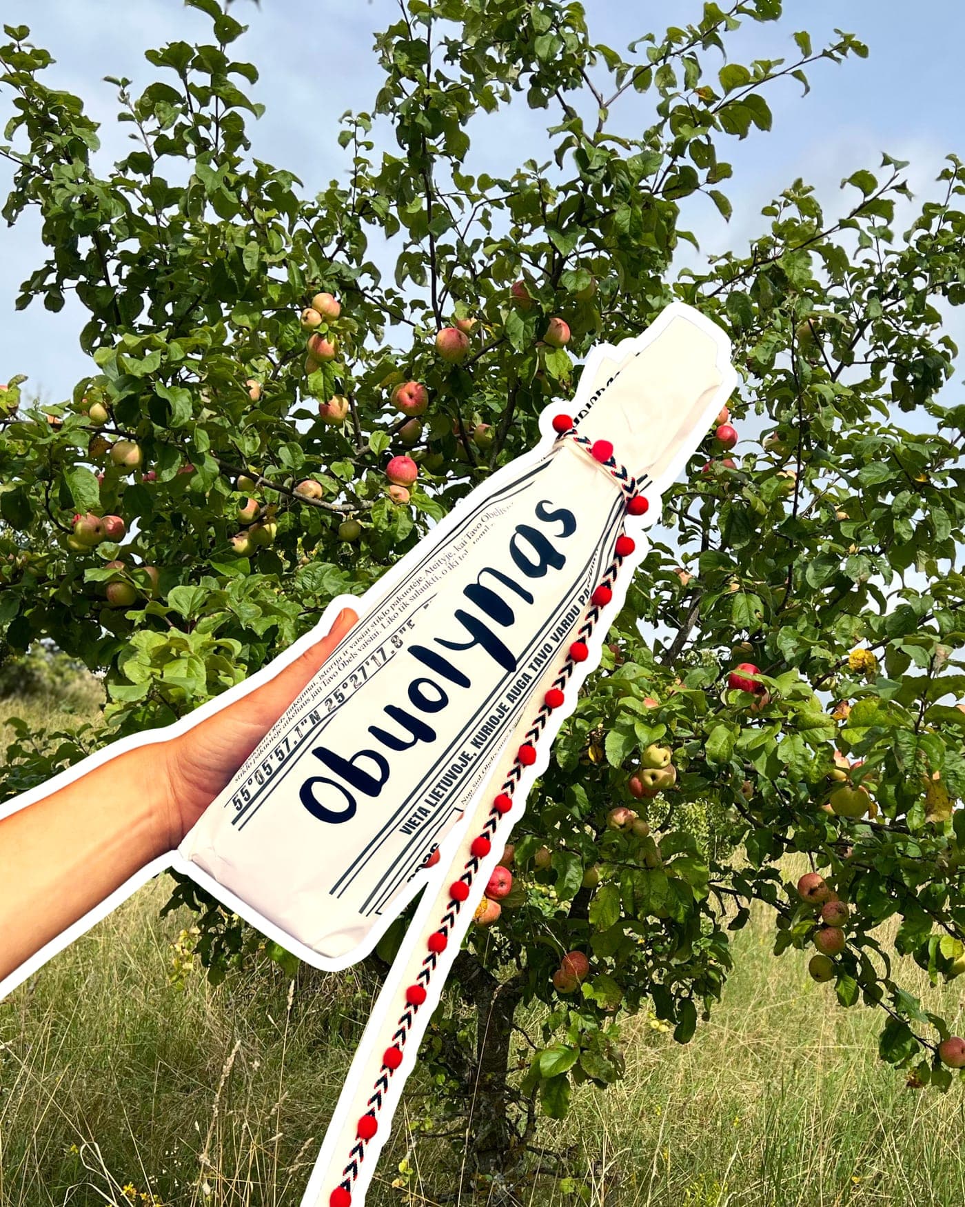 Gazuotų obuolių sulčių butelis, įvyniotas į Obuolyno popierių su Obels koordinatėmis